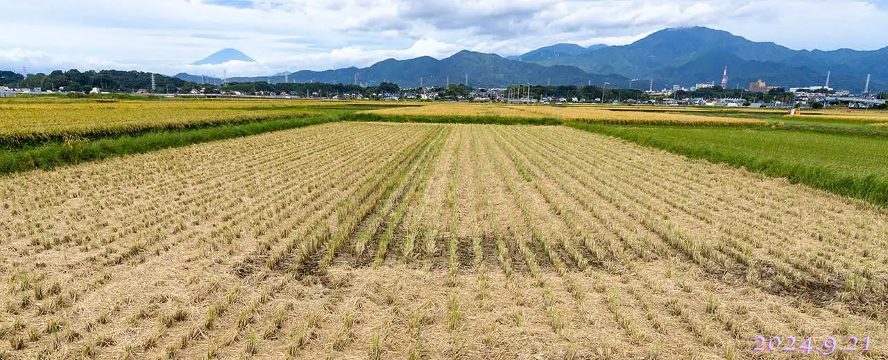 熊澤米店