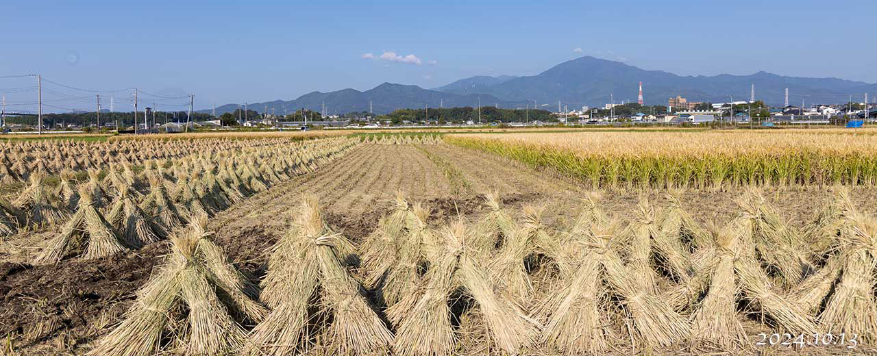 熊澤米店