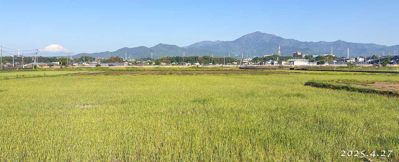 熊澤米店