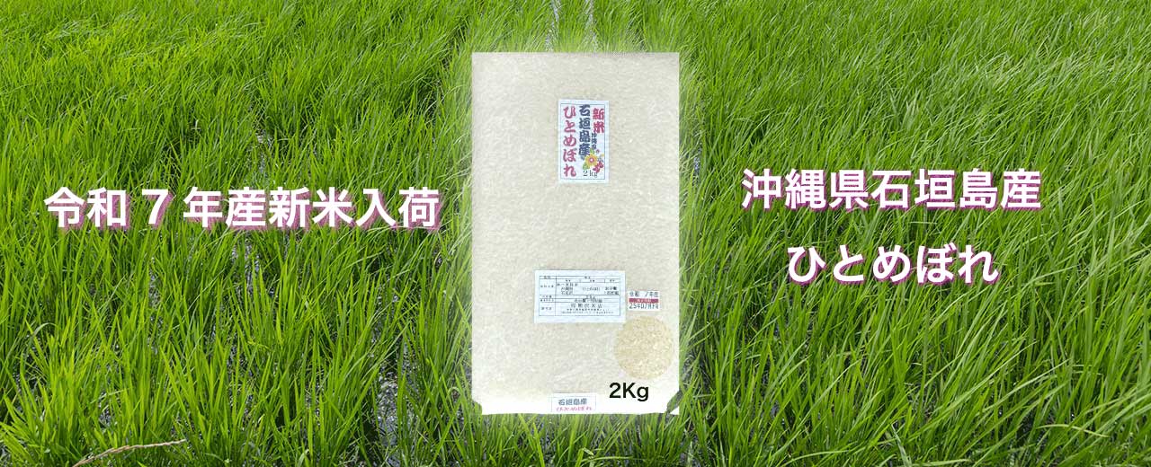 熊沢米店令和7年新米
