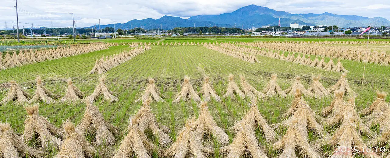 熊沢米店