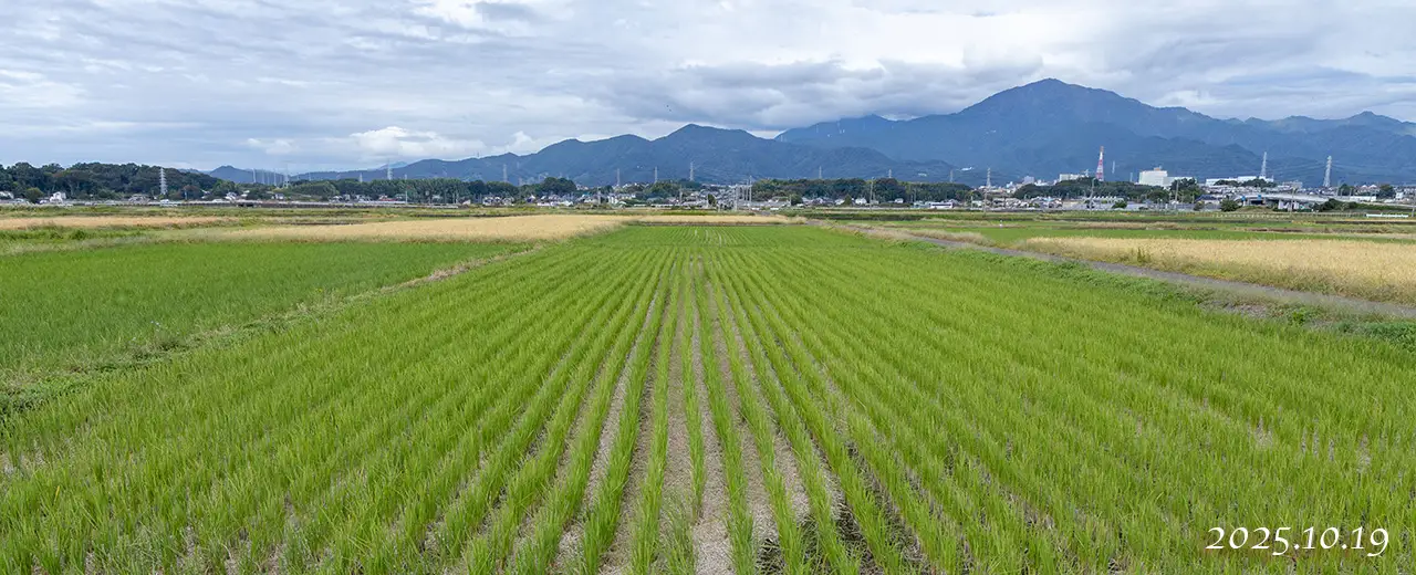 熊沢米店