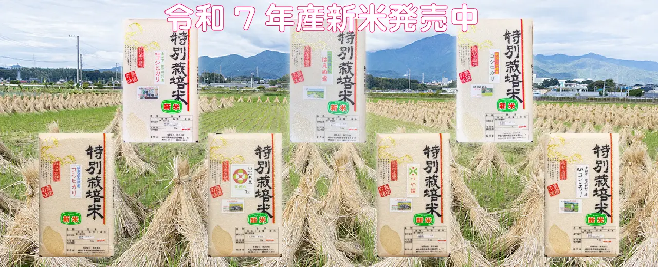 熊沢米店