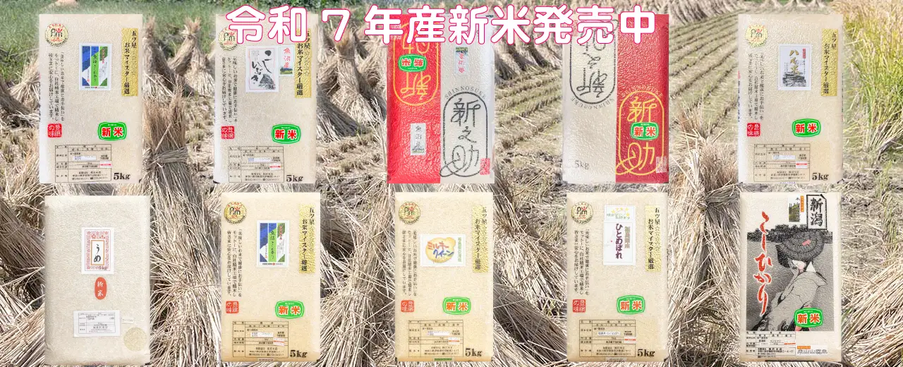 熊沢米店